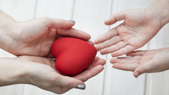 Nytt nationellt donationsfrämjande centrum